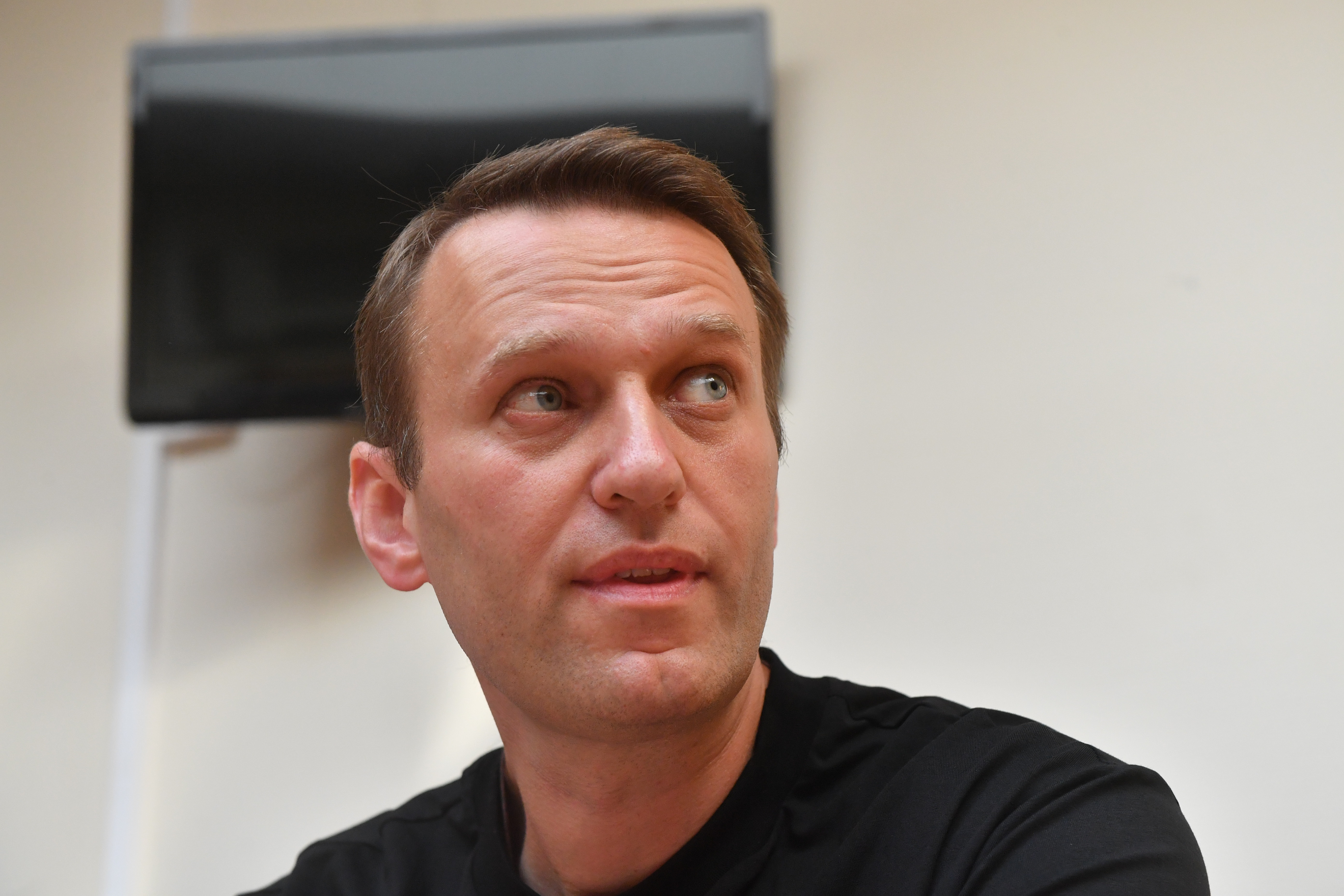 Алексей Навальный. Фото: &copy;РИА Новости/Алексей Куденко