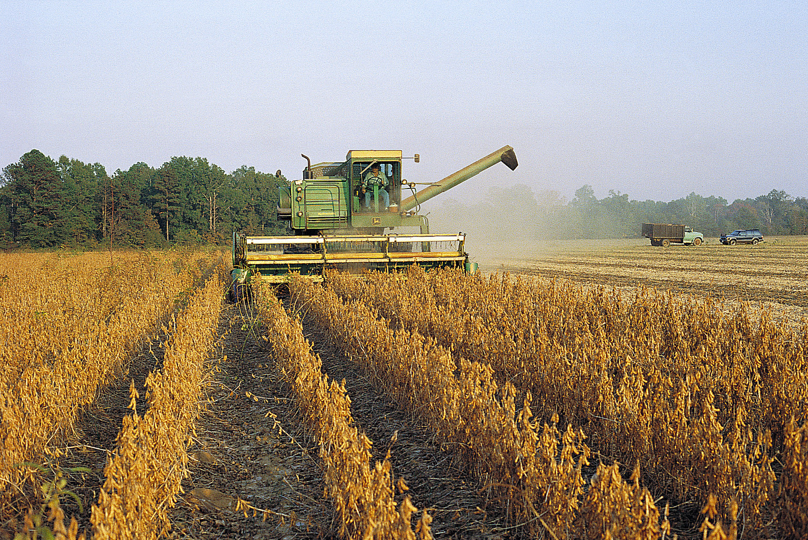 Фото &copy; Flickr/Alabama Farmers Federation