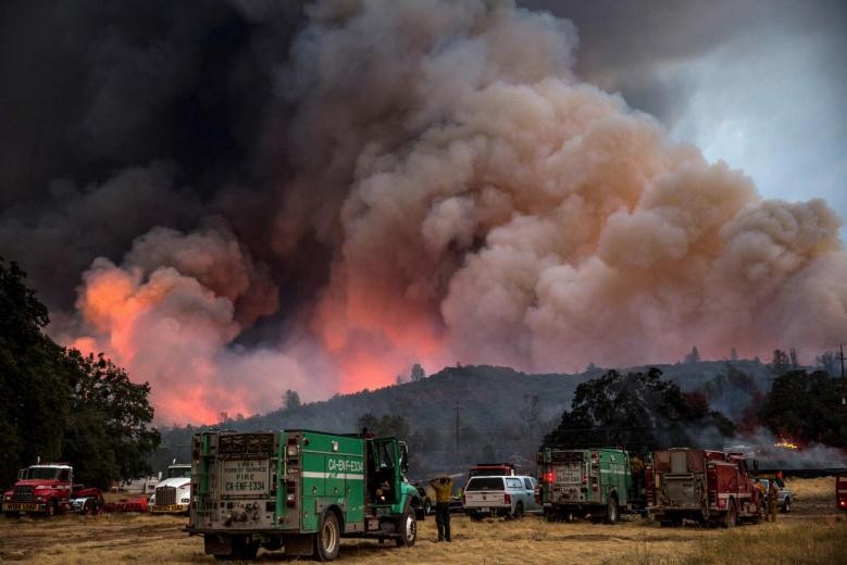 Лесные пожары в Калифорнии. Фото: &copy;&nbsp;REUTERS/Max Whittaker