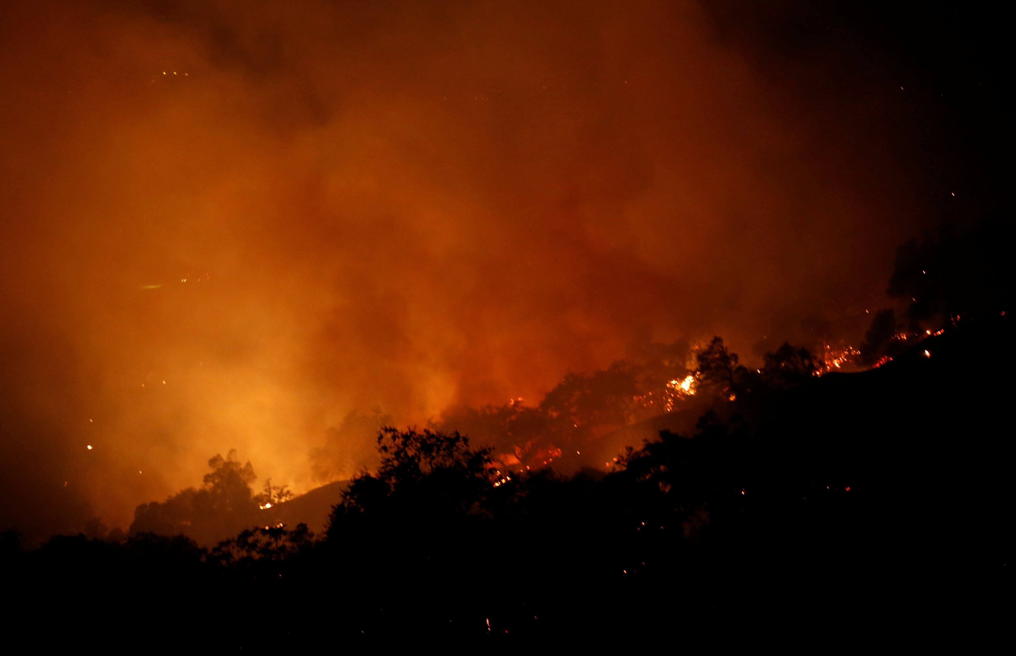 Пожары в Калифорнии. Фото: &copy;&nbsp;REUTERS/Jim Urquhart