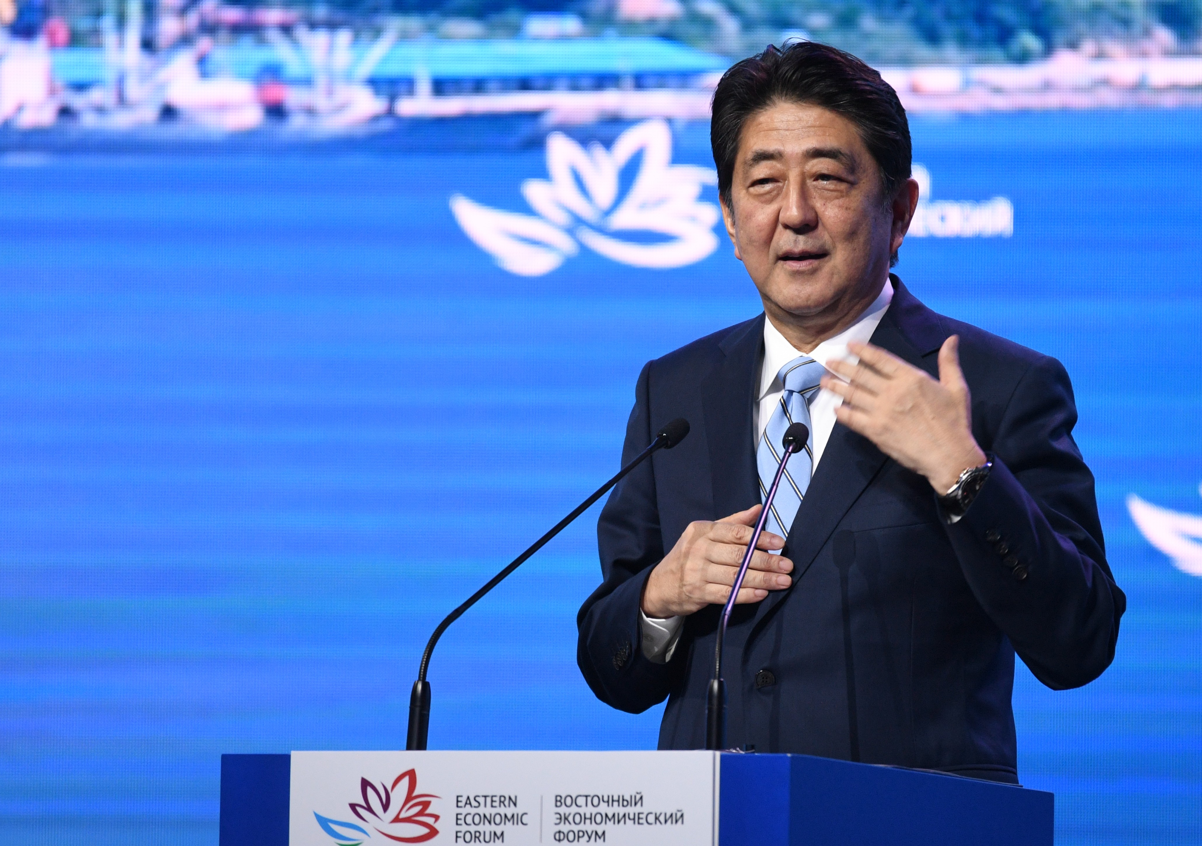 Премьер-министр Японии Синдзо Абэ. Фото: &copy; РИА Новости/Григорий Сысоев