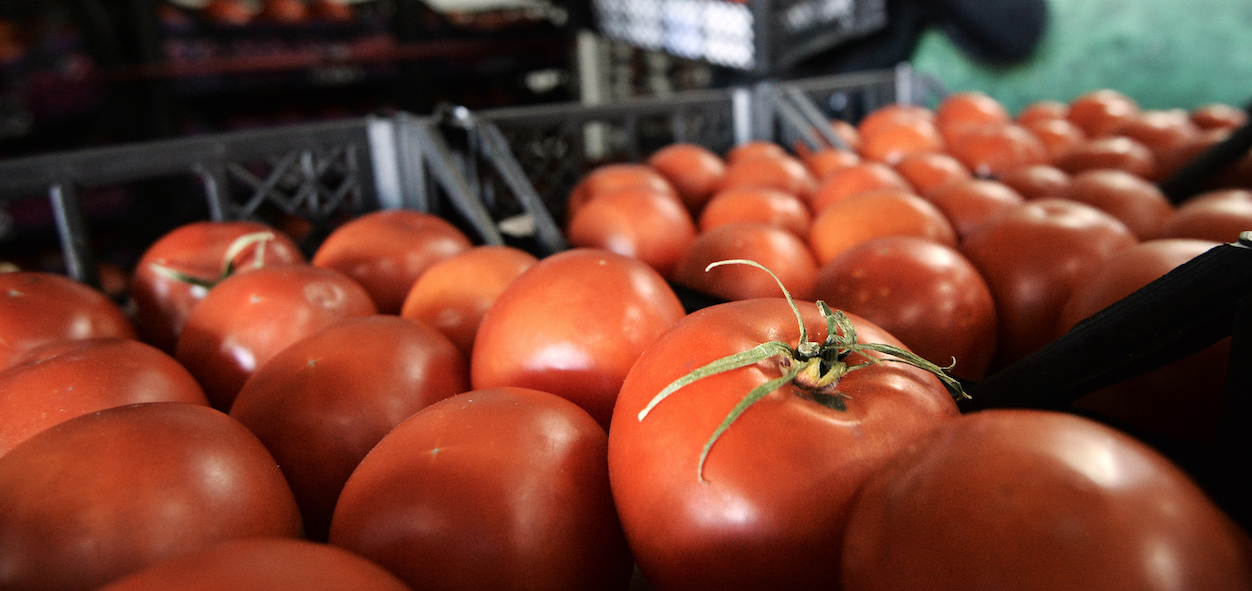Садовый мир томаты. Помидоры Турция. Столица помидоров в Турции. Магазин мир томатов. Город помидоров в Турции.