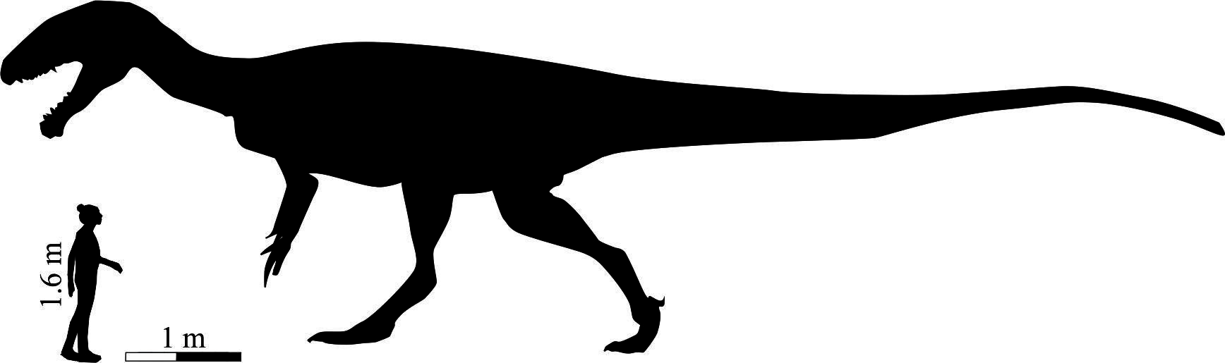 Сравнение размеров динозавра с ростом человека. Фото: © Phys.org