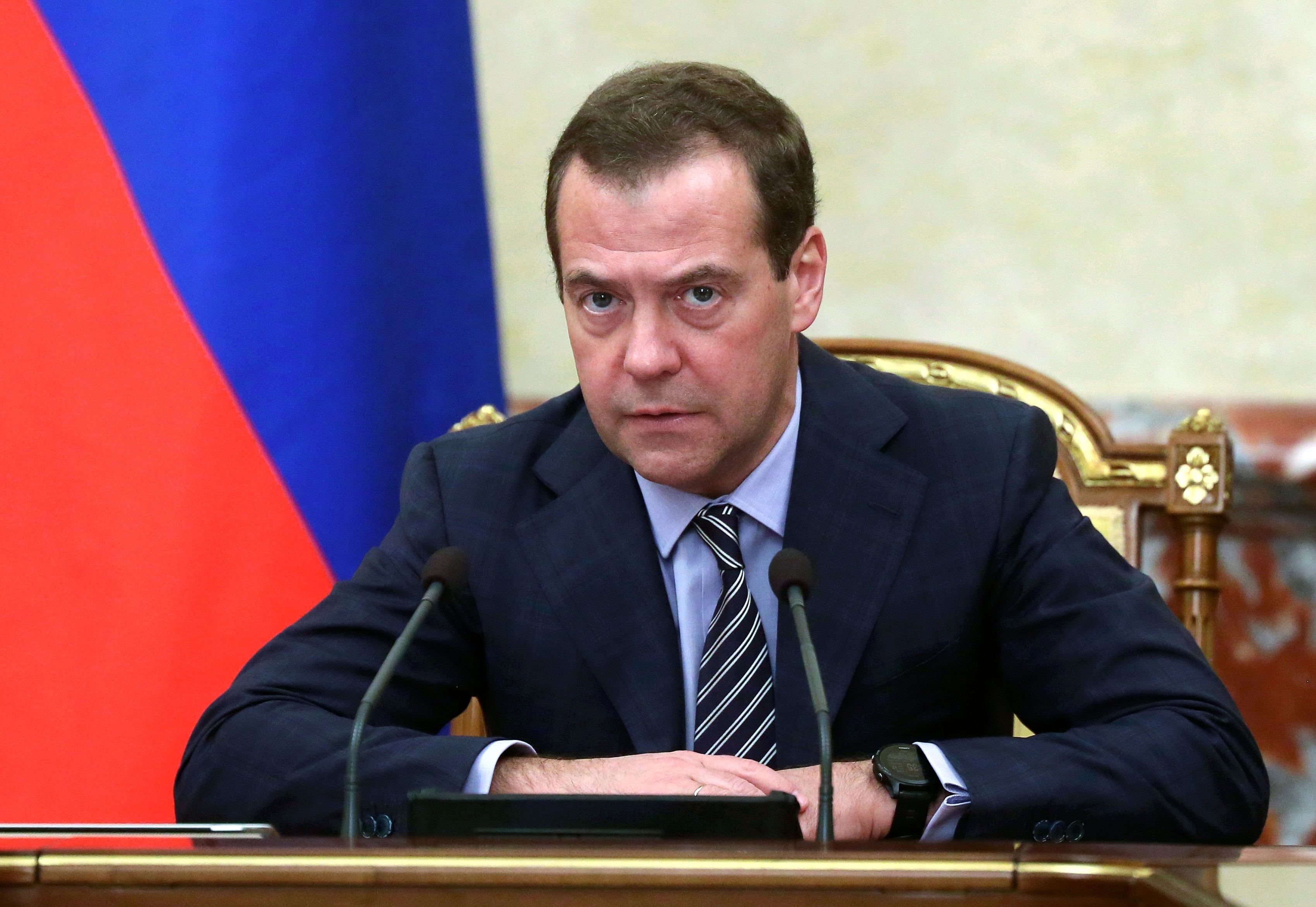 Премьер-министр РФ Дмитрий Медведев. Фото: &copy;РИА Новости/Екатерина Штукина