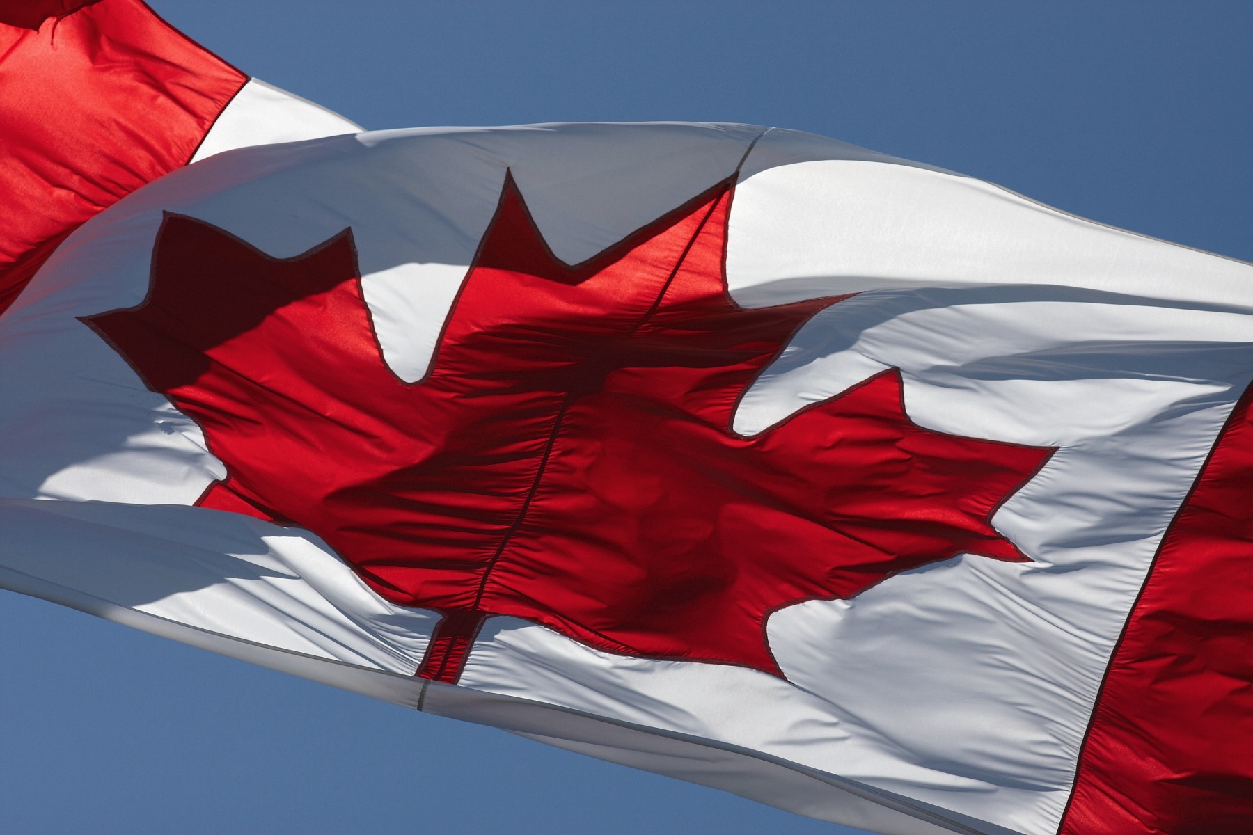 Флаг Канады. Фото: &copy; Flickr/Marcus Hebel