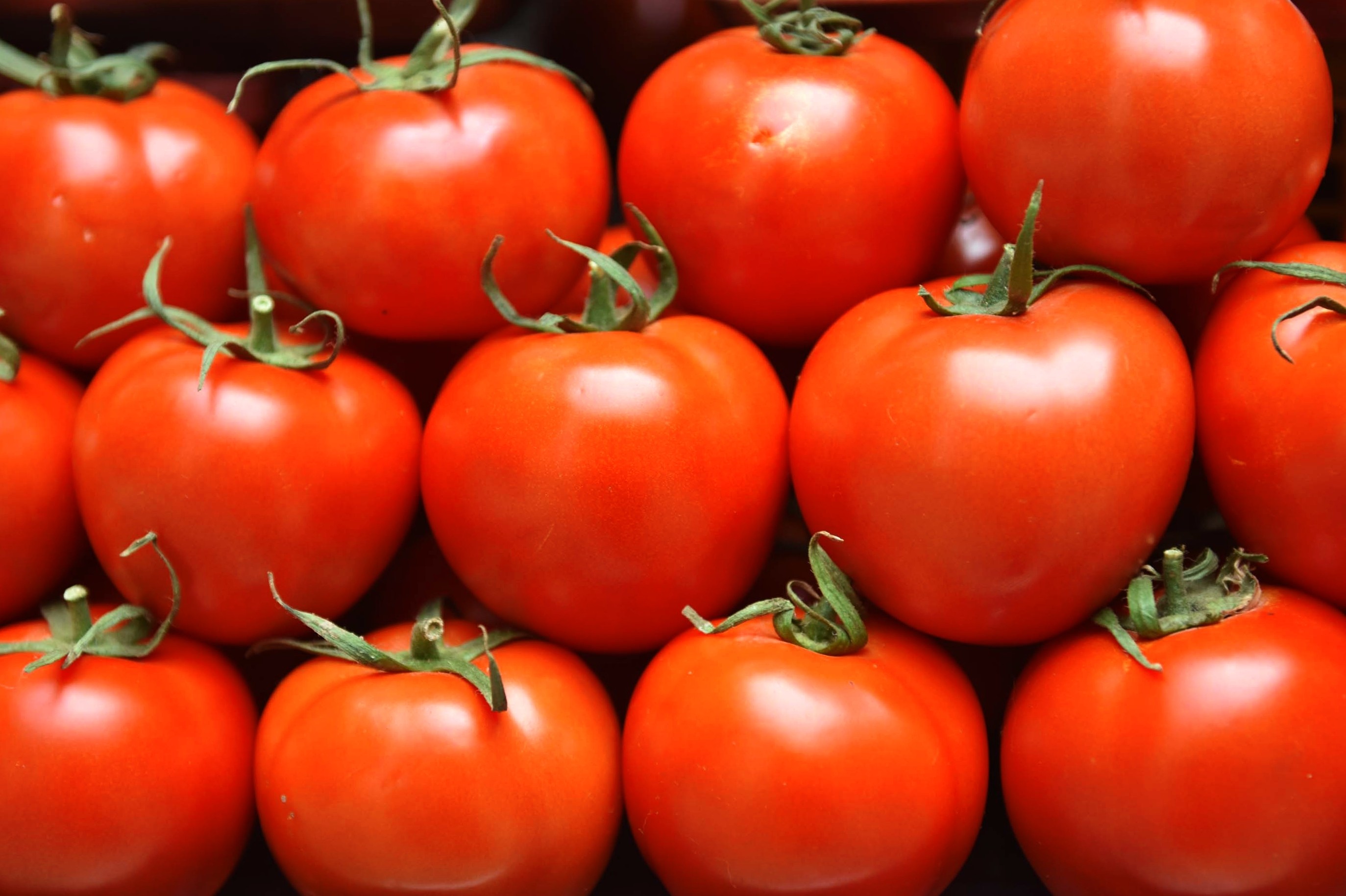 Турция начала поставку томатов в Россию