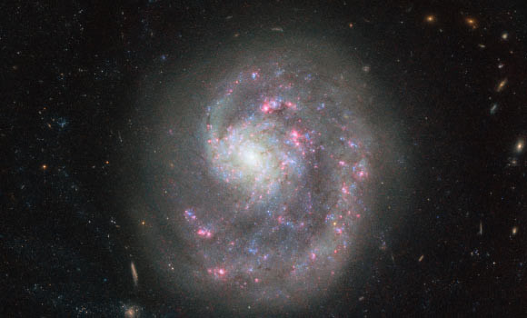 Галактика&nbsp;NGC 4625. Фото: &copy; NASA