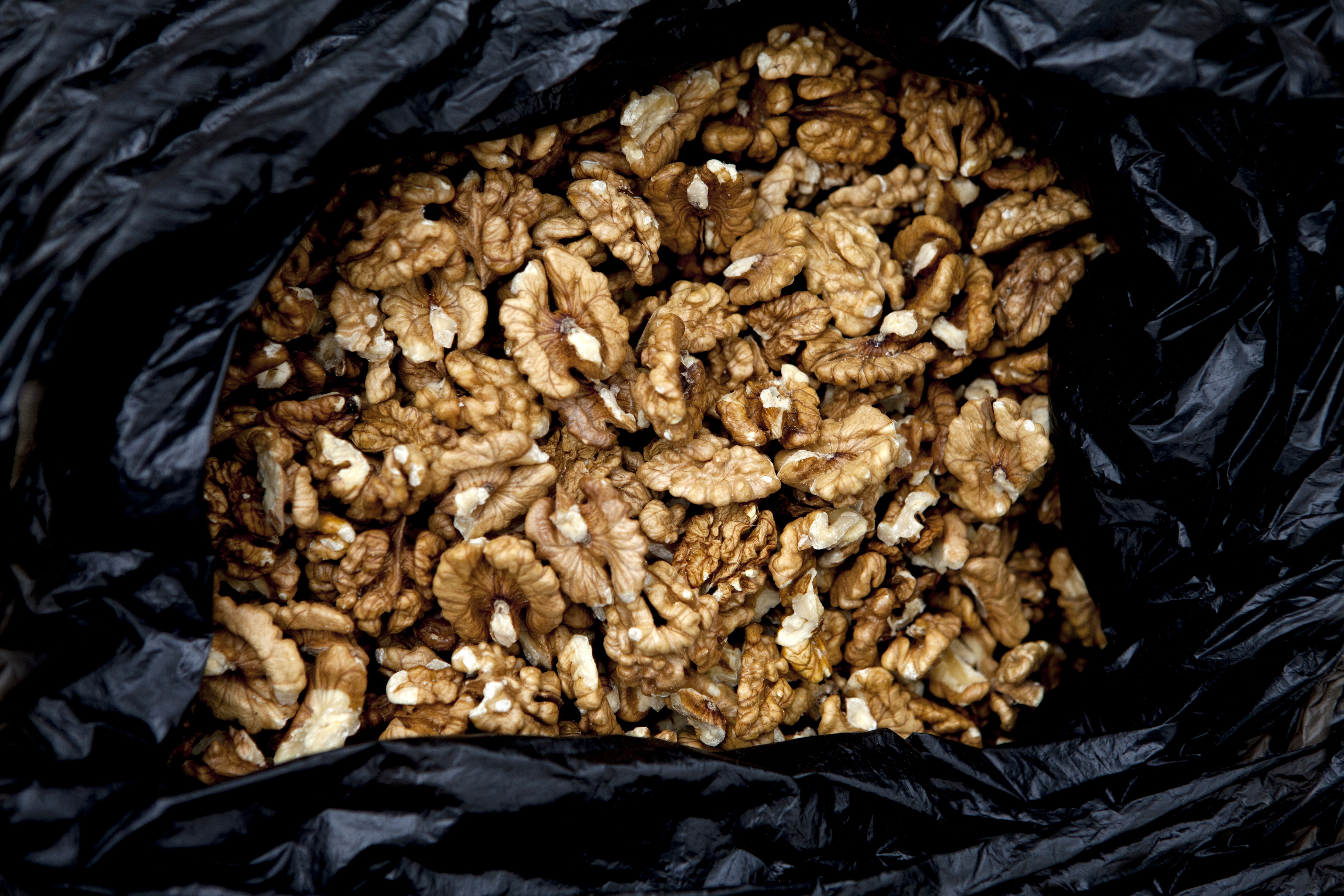 Грецкие орехи. Фото: &copy; РИА Новости