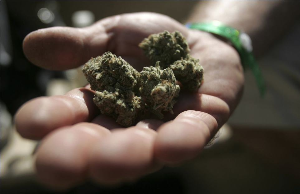 Были ли случаи смерти от марихуаны гидра форум сайт