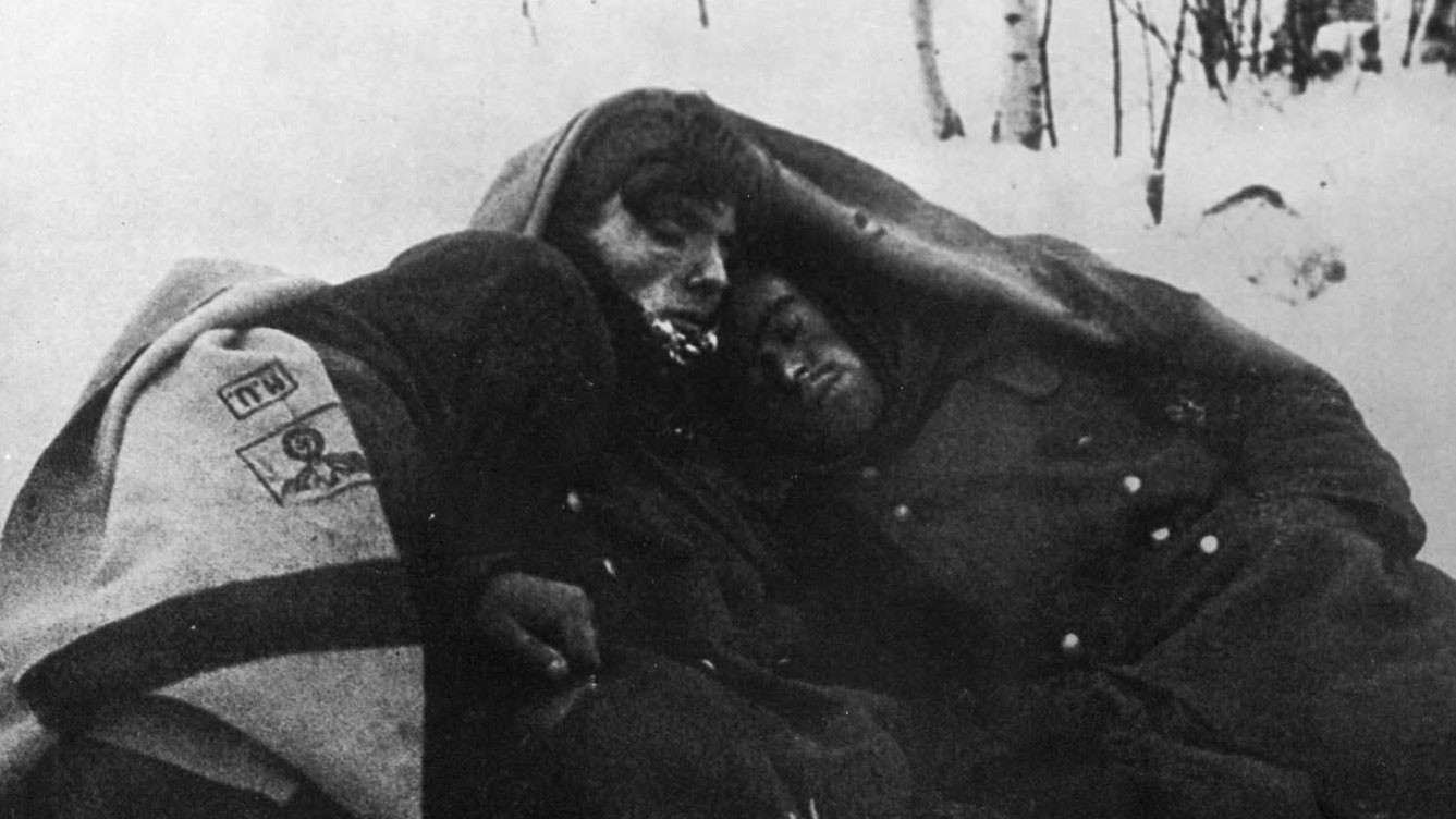 Замёрзшие заживо немцы. Фото: © Военный альбом