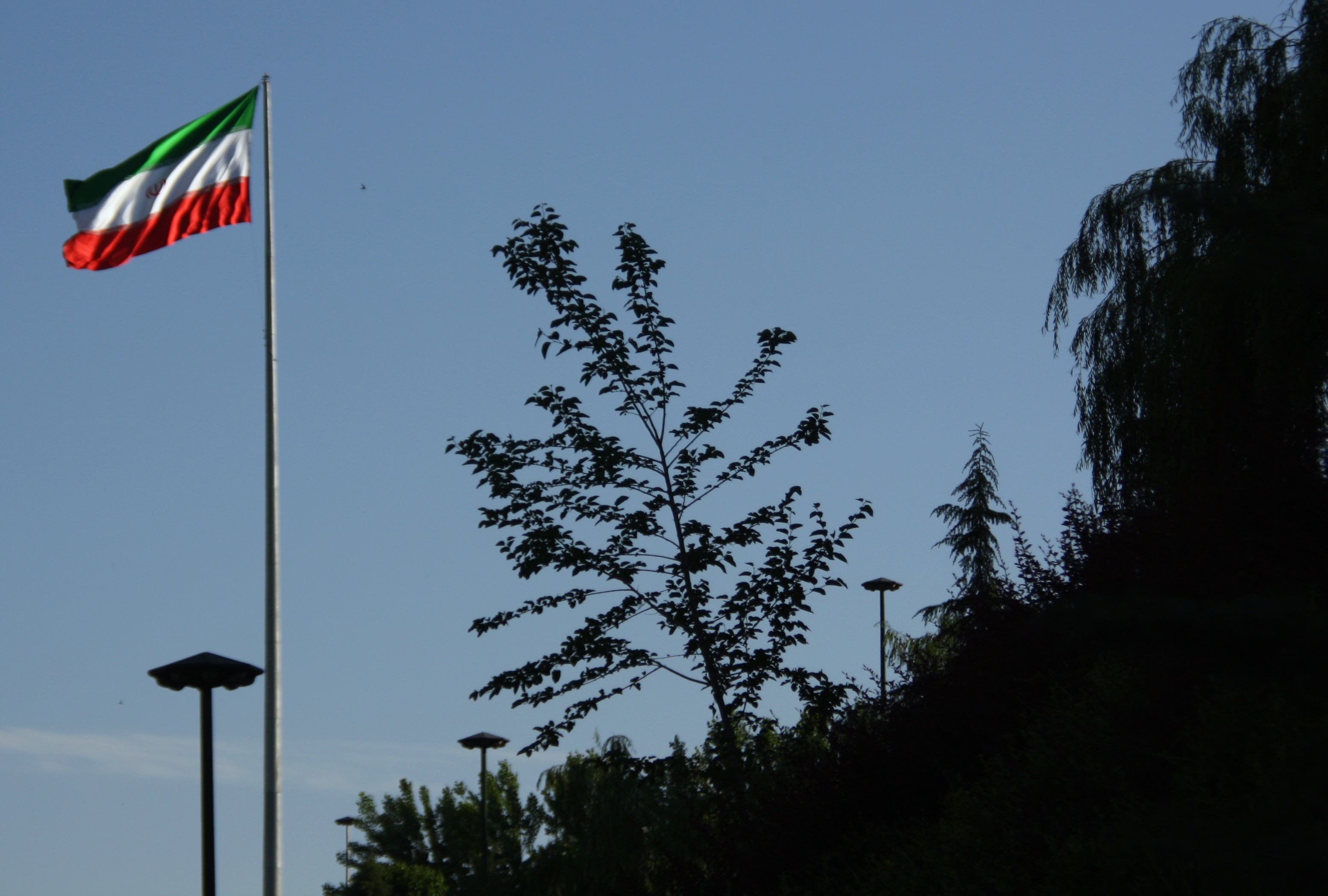 Флаг Ирана. Фото: &copy; flickr/Blondinrikard Fr&ouml;berg