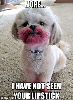 Фото © Splitpics.uk