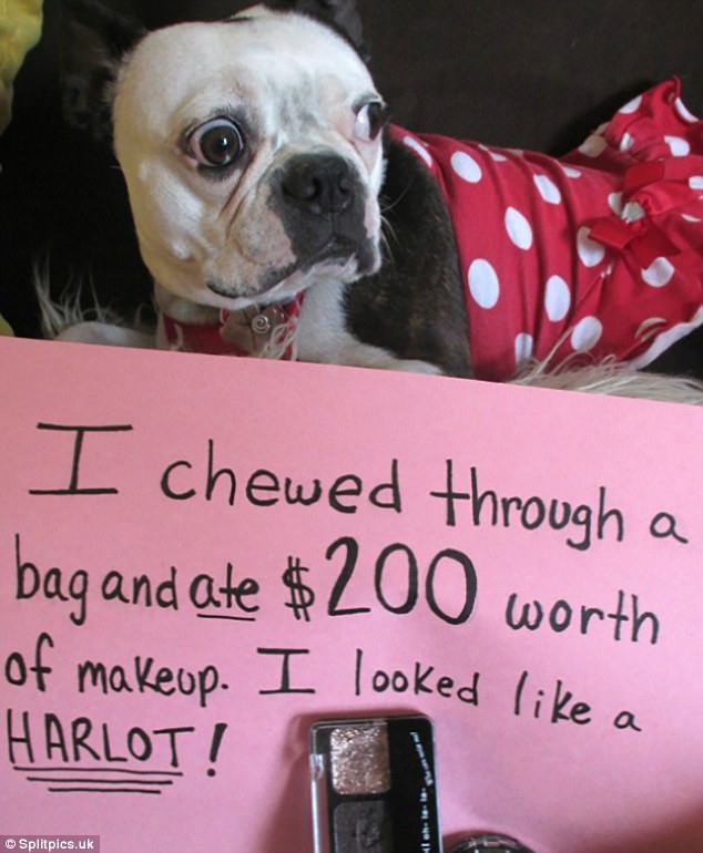 Фото © Splitpics.uk