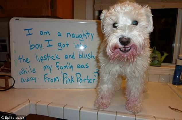 Фото © Splitpics.uk