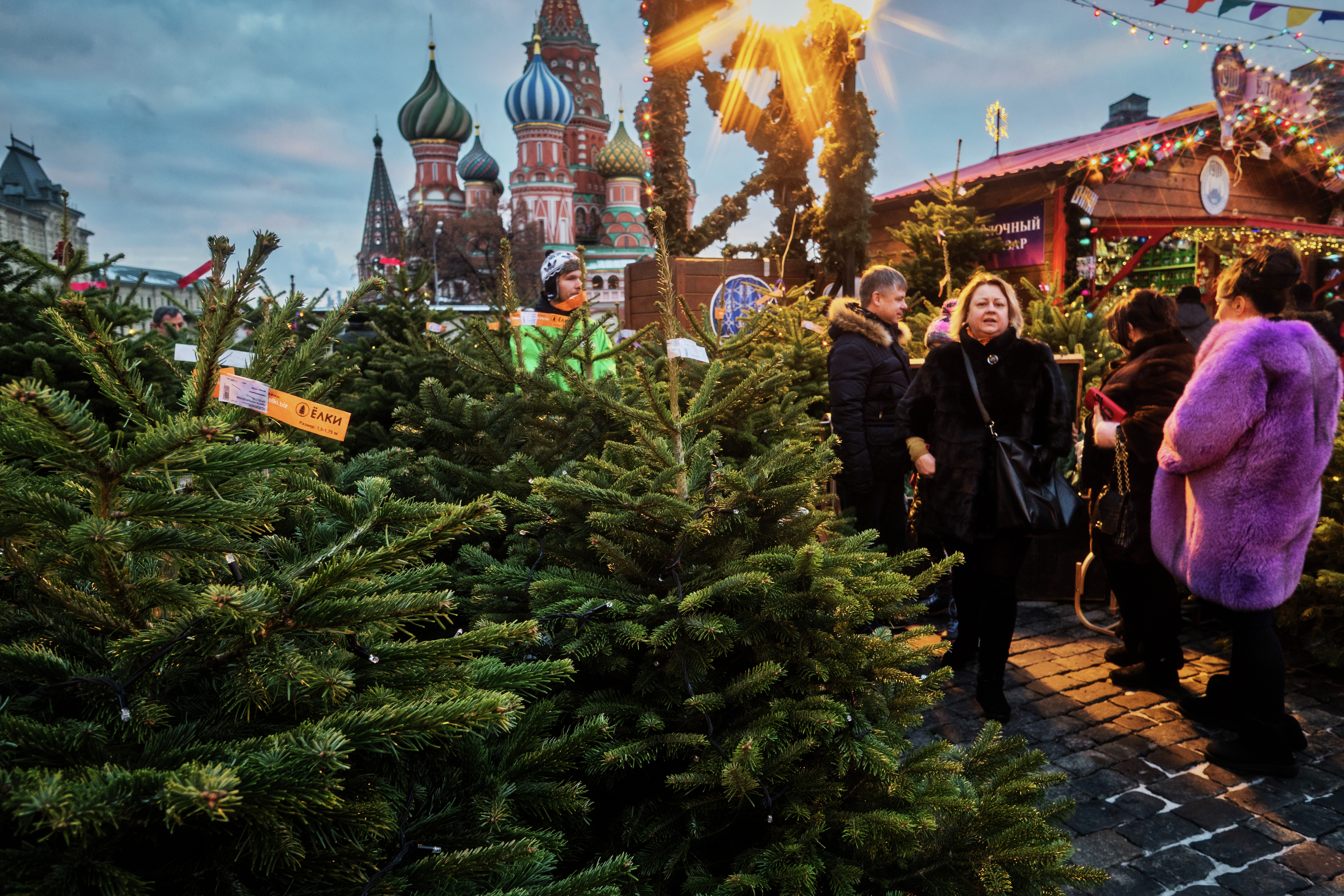 Ёлочный базар в Москве. Фото: &copy;РИА Новости/Владимир Песня