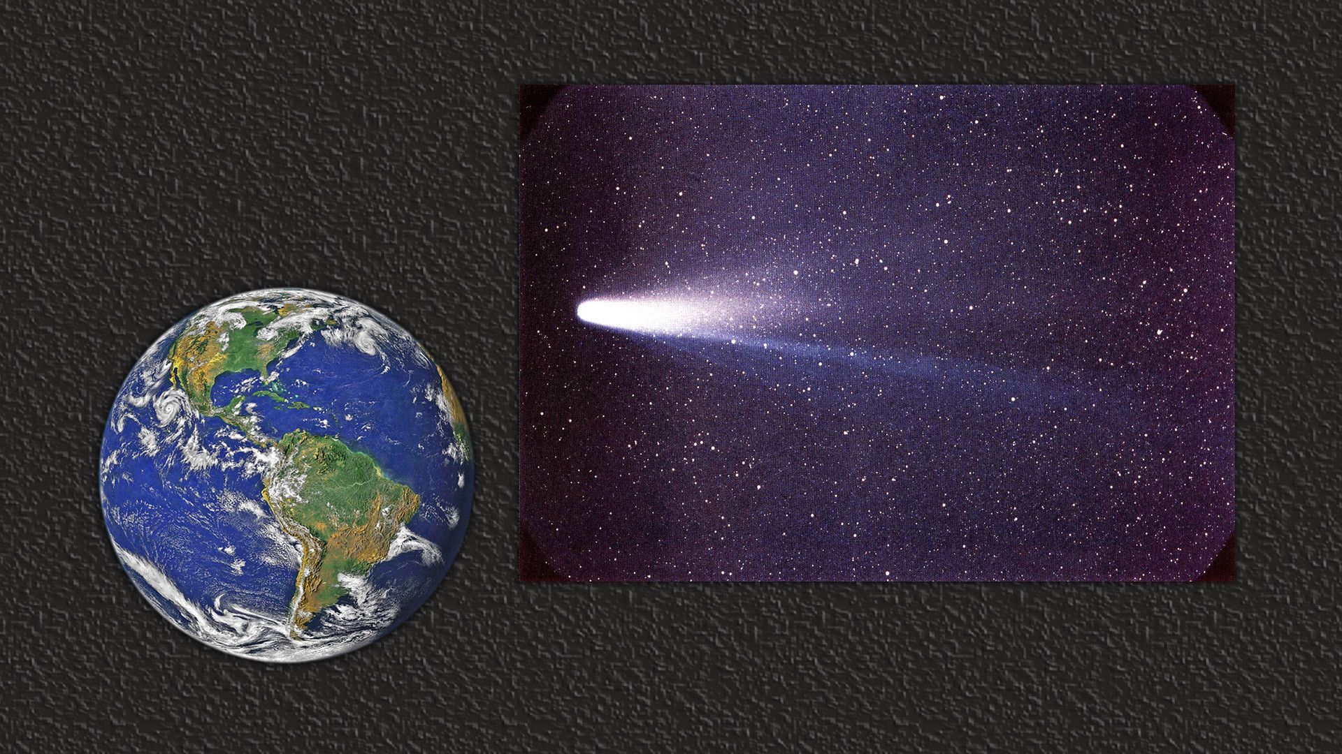 Комета Галлея (справа). Коллаж © L!FE. Фото: © wikipedia.org