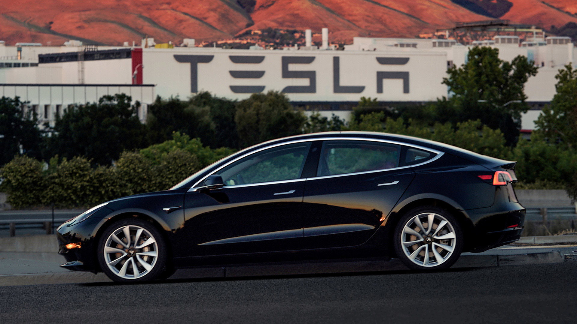 Фото © Tesla/Handout via REUTERS