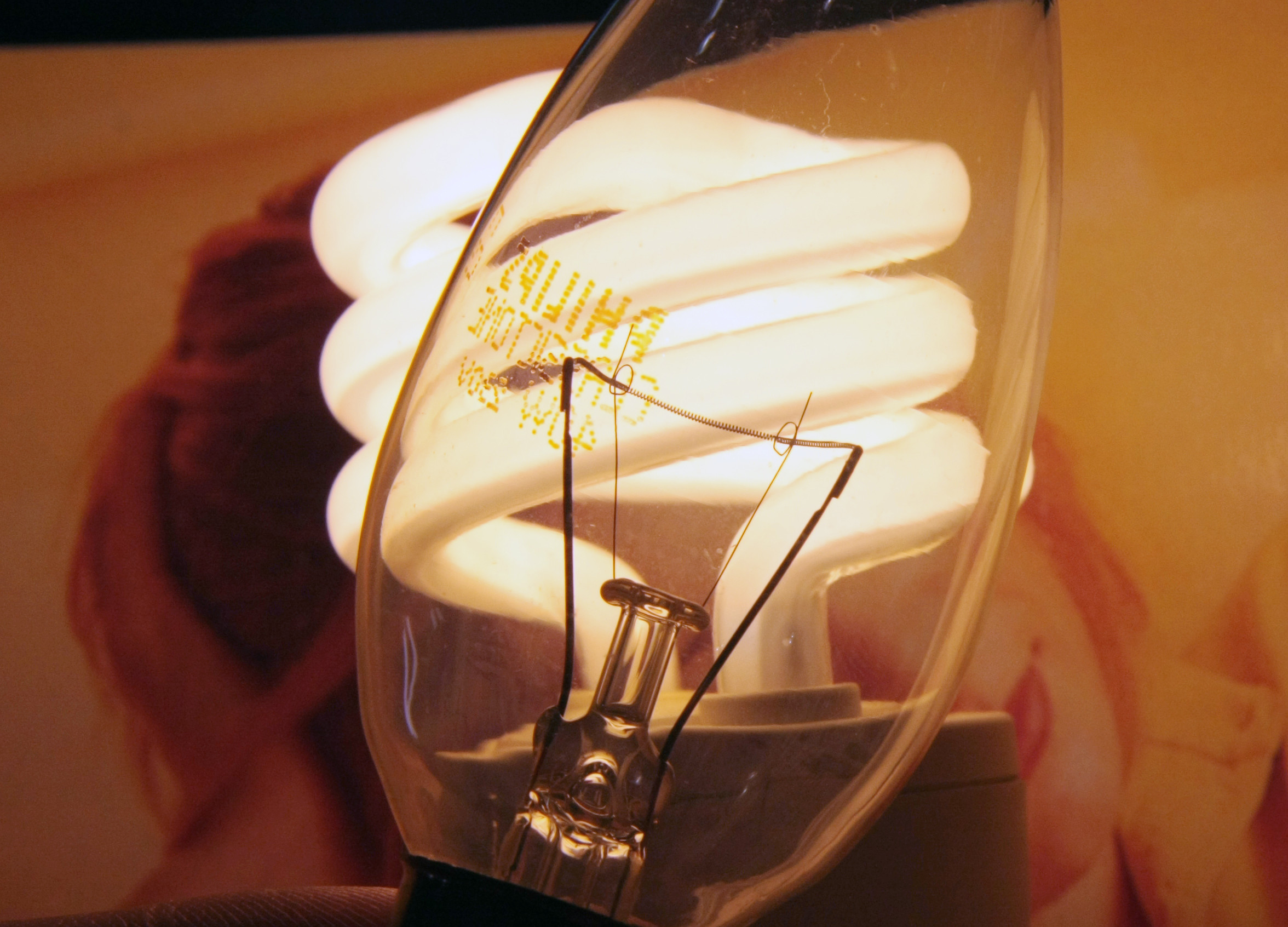 Лампа накаливания и энергосберегающая лампа. Фото: &copy; РИА Новости/Петр Чернов