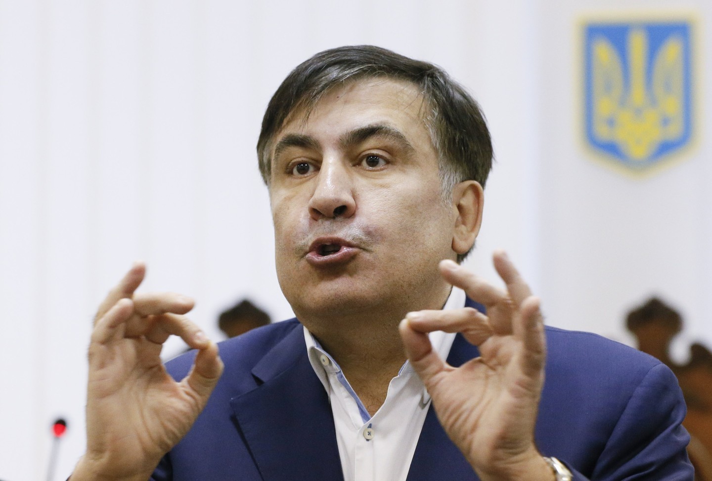 Михаил Саакашвили.&nbsp;Фото: &copy;REUTERS/Valentyn Ogirenko
