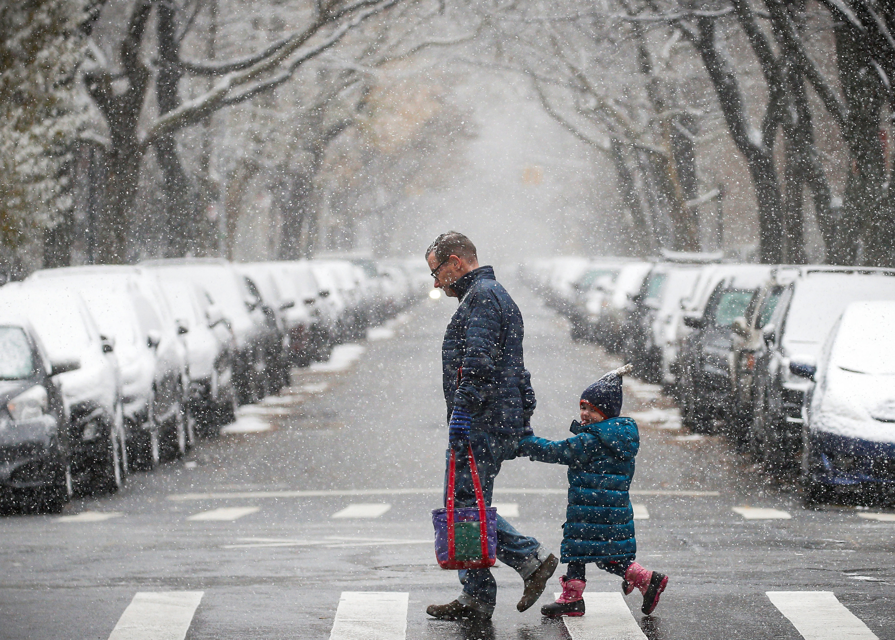 Центральный парк Нью-Йорка. Фото: &copy;REUTERS/Brendan McDermid