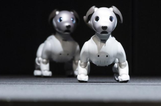 Не лает, не кусает. Sony представила новое поколение робособаки Aibo