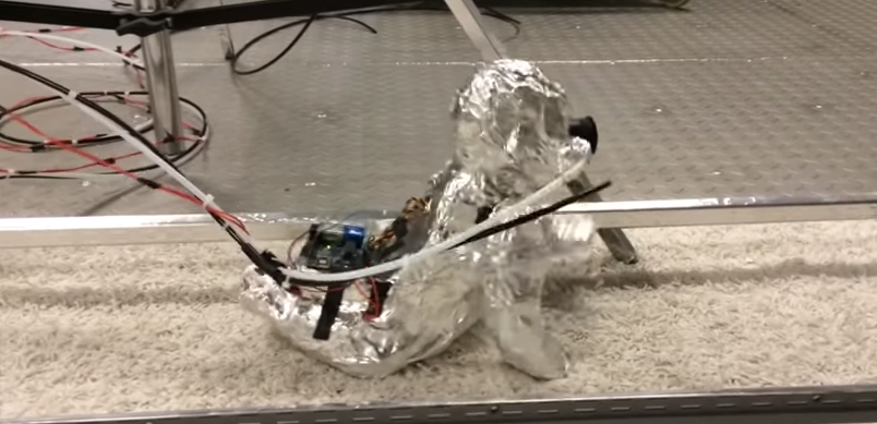 Фото: кадр из видео на YouTube