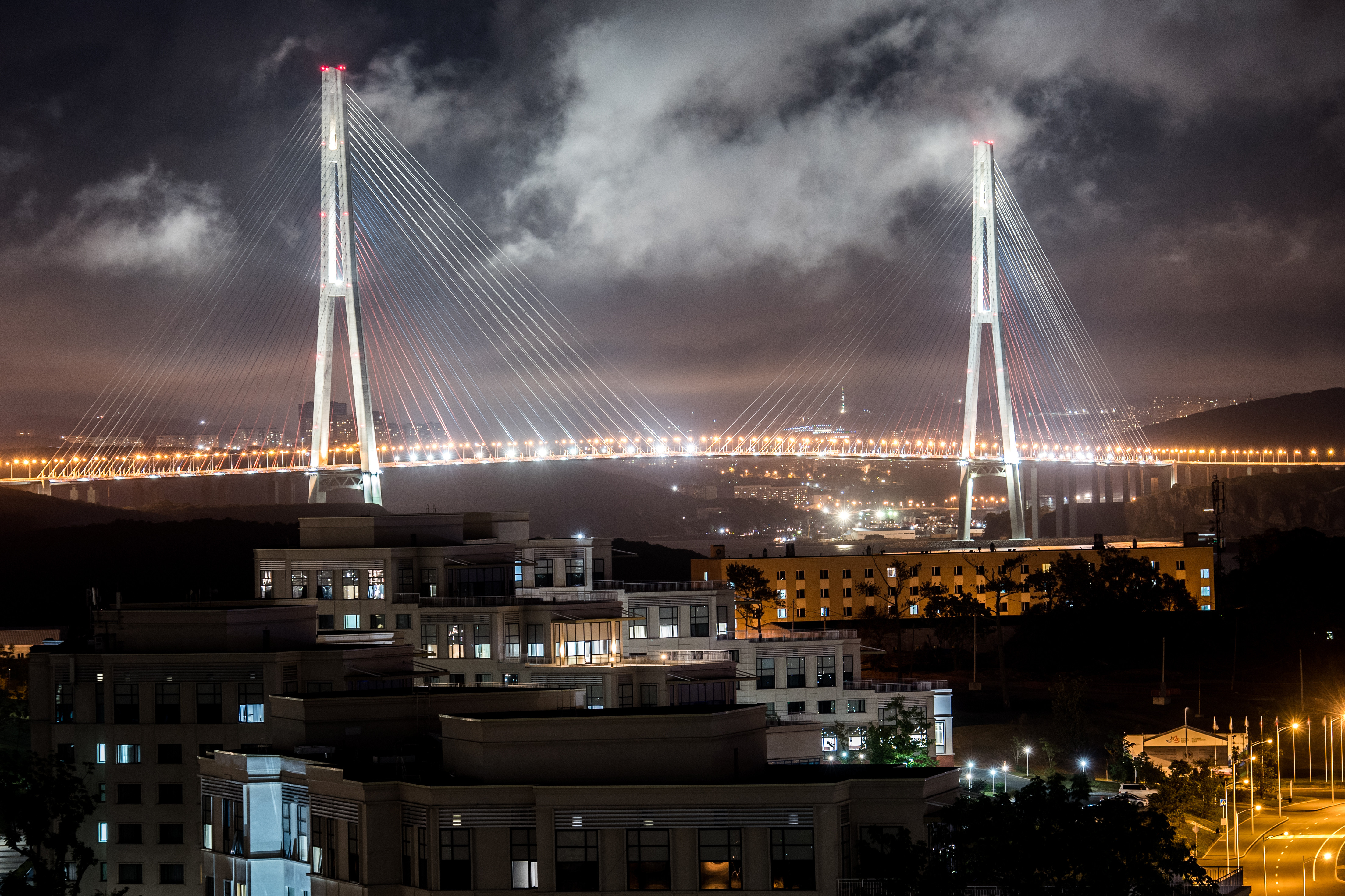 <p>Мост Русский во Владивостоке. Фото: &copy; РИА Новости/Евгения Новоженина</p>