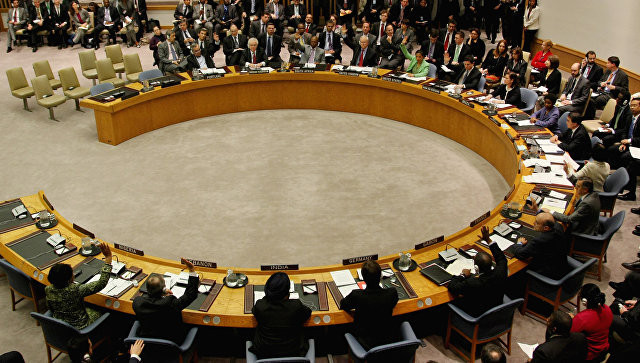 Совет безопасности ООН. Фото: &copy; РИА Новости