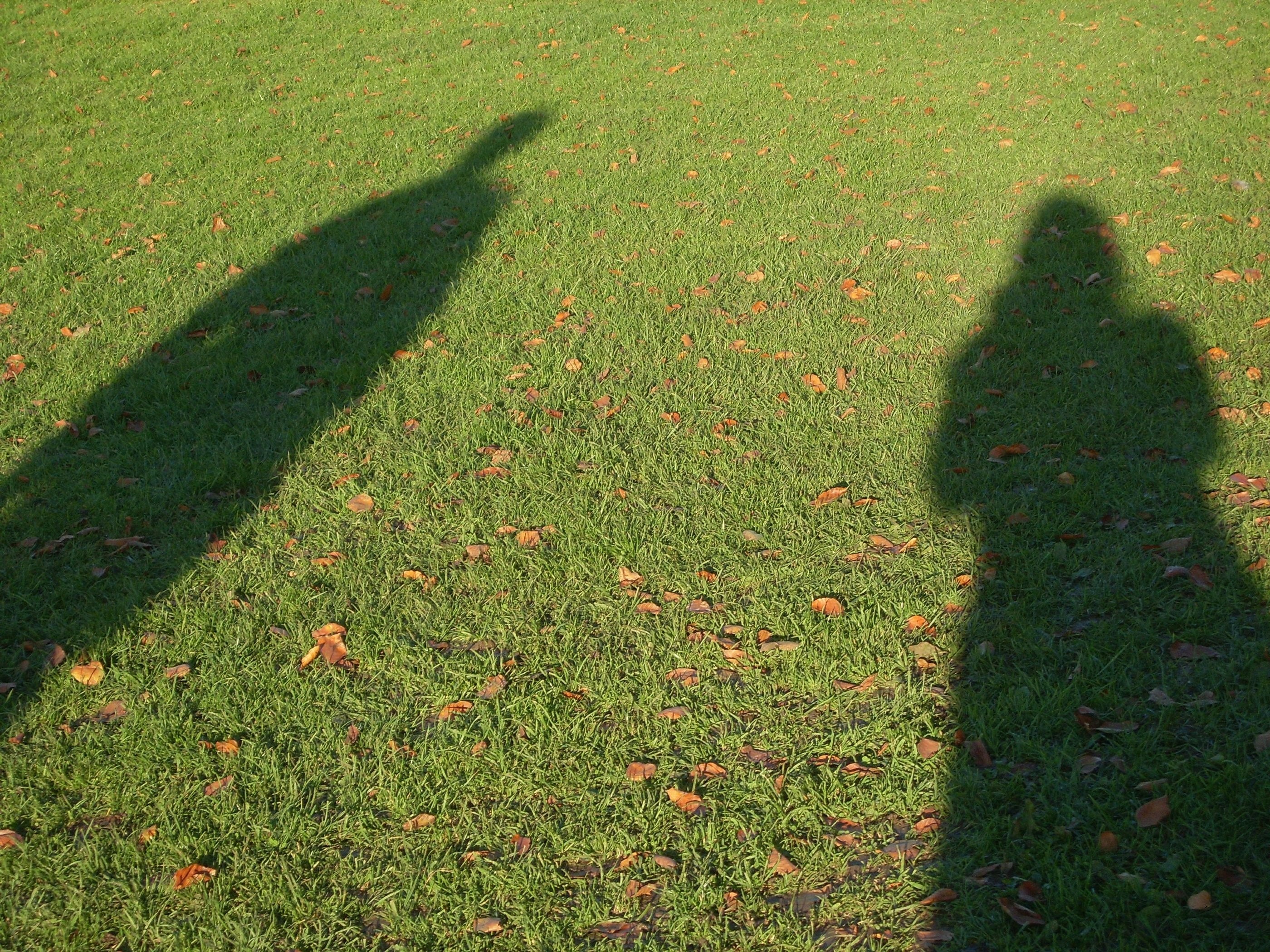 Фото: &copy; Flickr/Abi Skipp