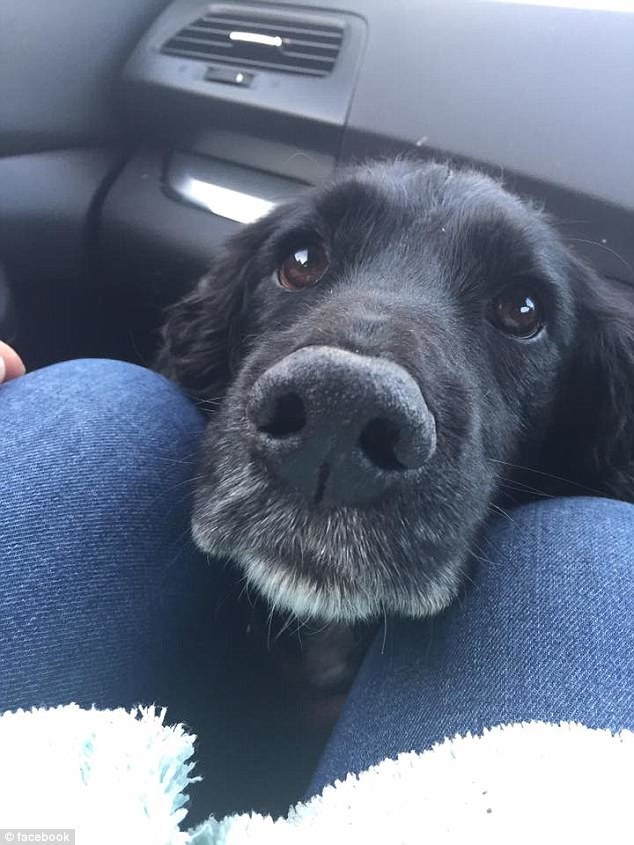 Фото: © Соцсети