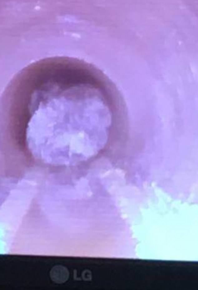 Фото: © INS Picture Desk/INS News Agensy Ltd