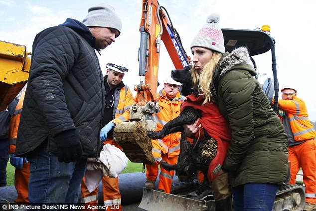 Фото: © INS Picture Desk/INS News Agensy Ltd