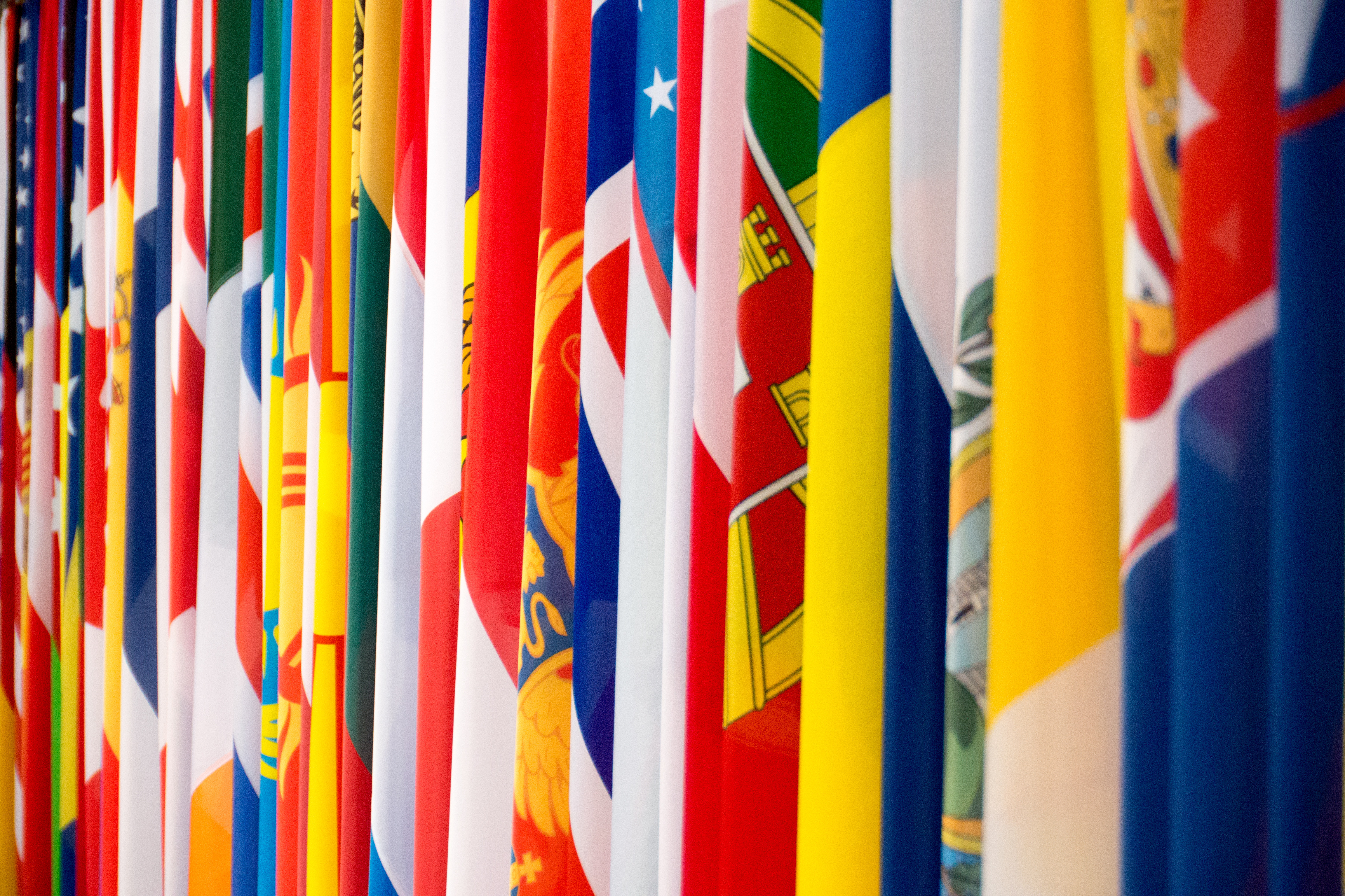 Флаги стран-участниц ОБСЕ. Фото: &copy; flickr/UK in Austria
