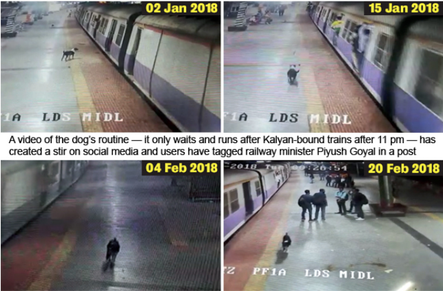 Фото: ©Кадры с камер видеонаблюдения в метро