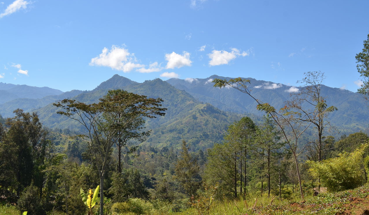 Папуа &mdash;Новая Гвинея. Фото: &copy; Википедия