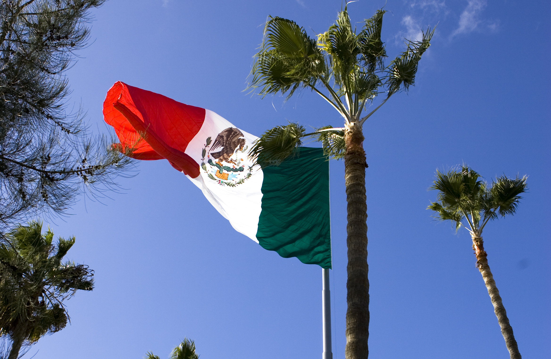 Флаг Мексики. Фото: &copy; Flickr/Lin Mei