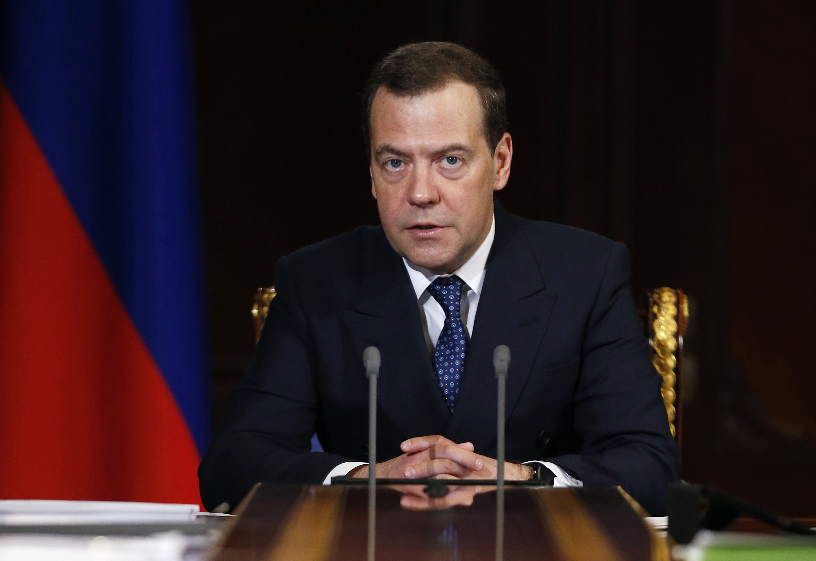 Дмитрий Медведев. Фото: &copy;РИА Новости/Дмитрий Астахов