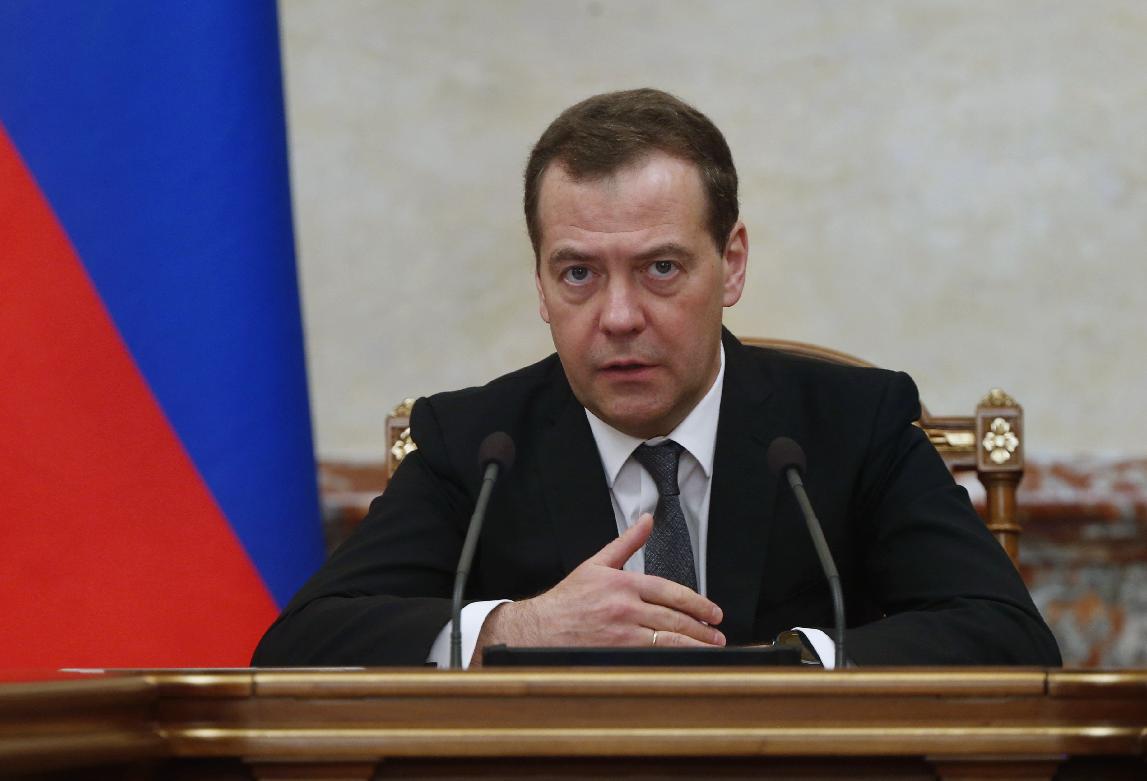 Дмитрий Медведев. Фото: &copy;РИА Новости/Дмитрий Астахов