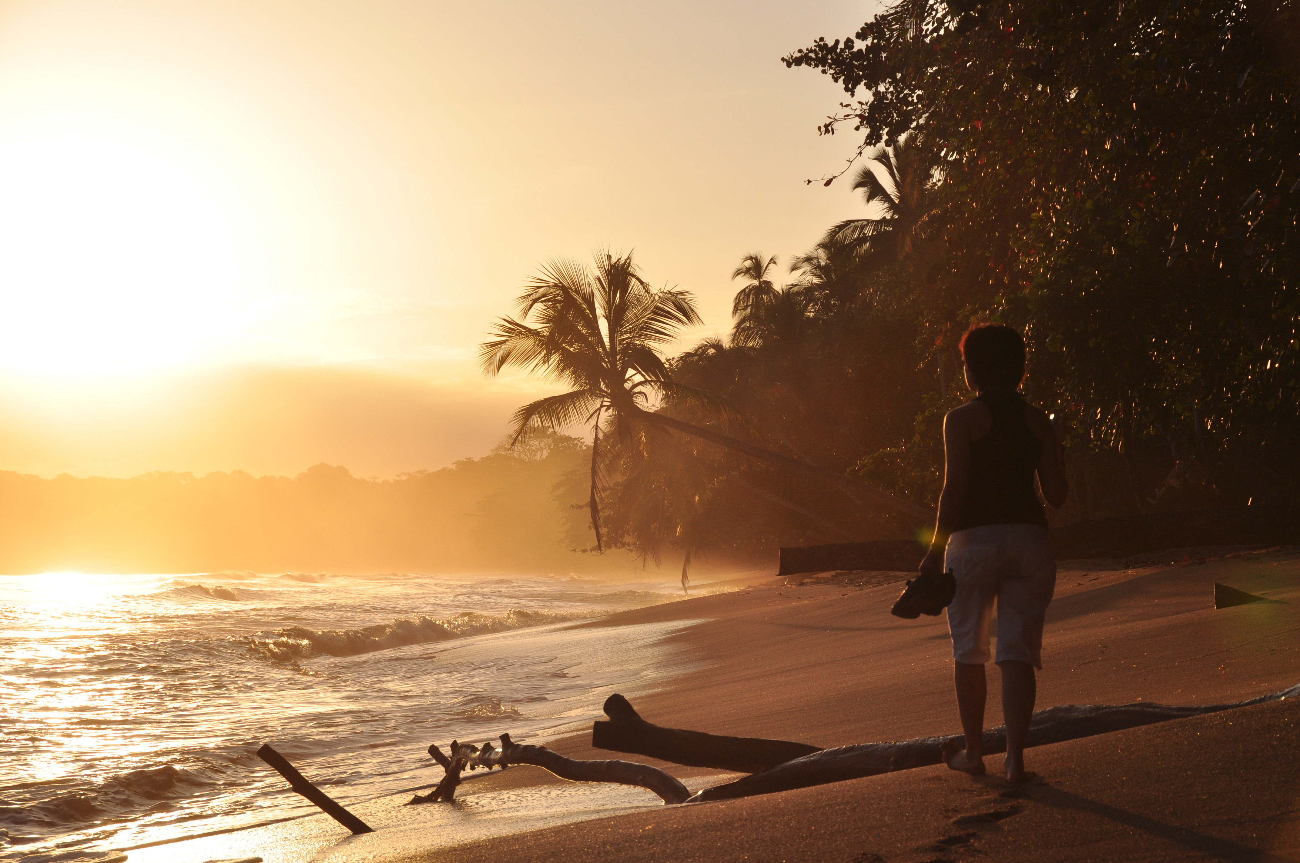 Коста-Рика. Фото: &copy; Flickr/Armando Maynez
