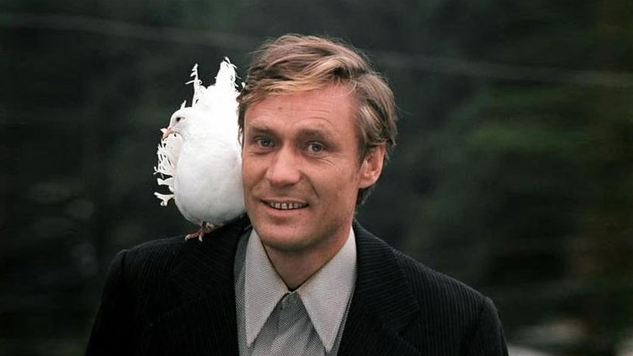 Фото: кадр из фильма "Любовь и голуби", 1984. Режиссёр Владимир Меньшов