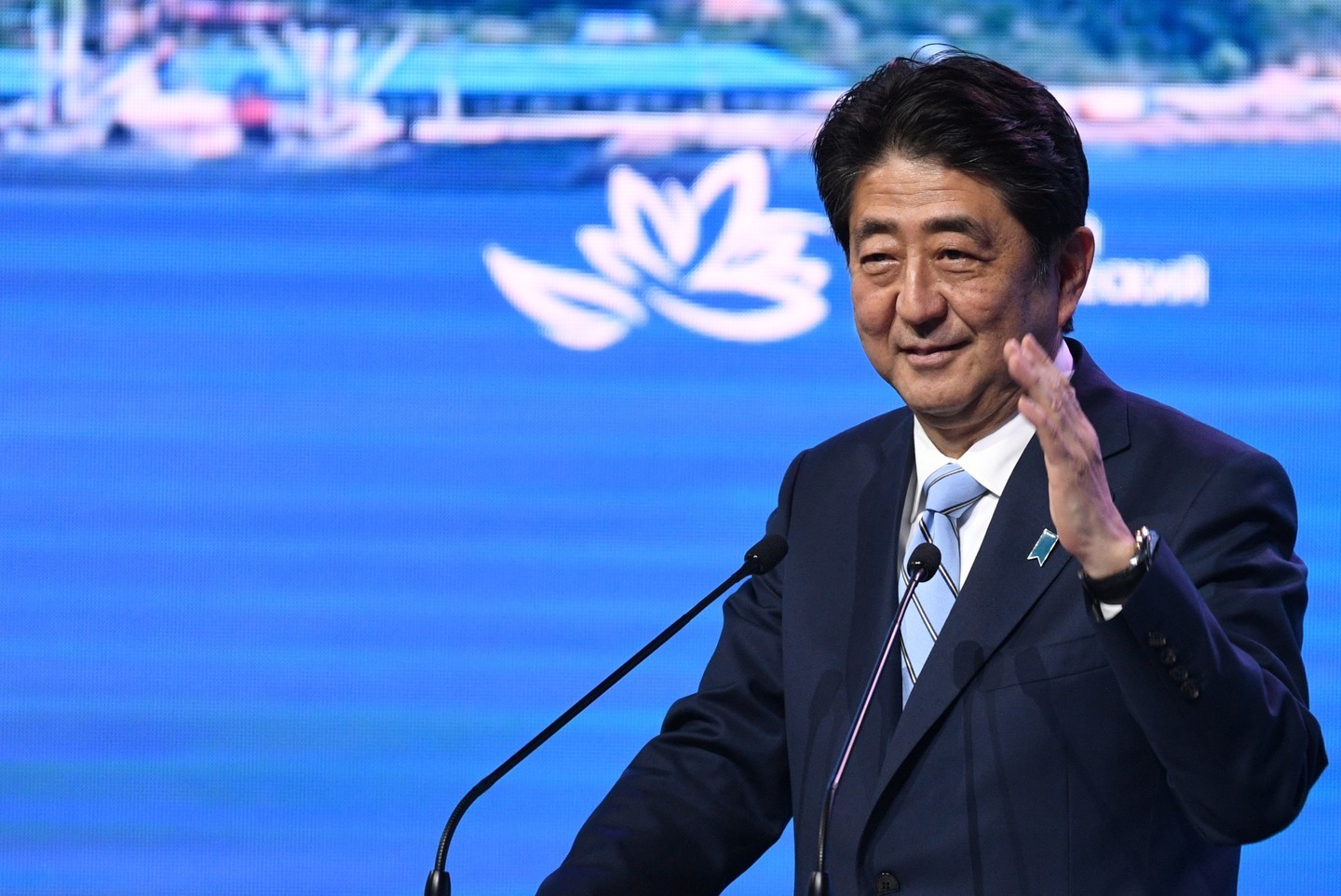 Премьер-министр Японии Синдзо Абэ. Фото: &copy;РИА Новости/Григорий Сысоев





