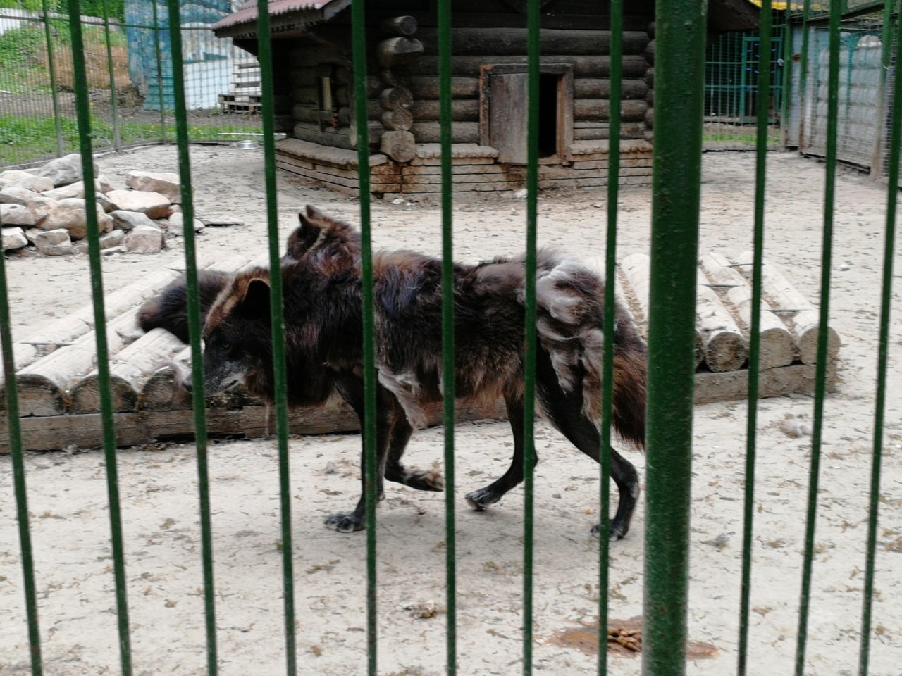 В Нижнем Новгороде закрыли зоопарк 