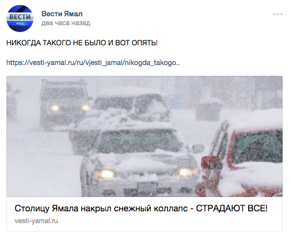 Фото © vk/Вести Ямал