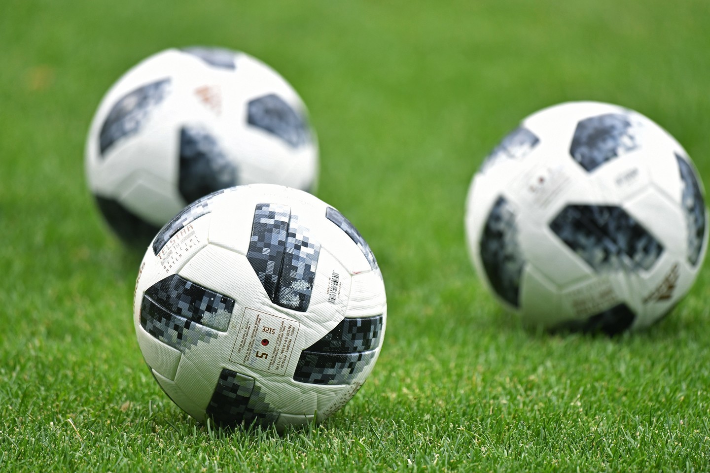 Фото: © РИА Новости/Владимир Песня