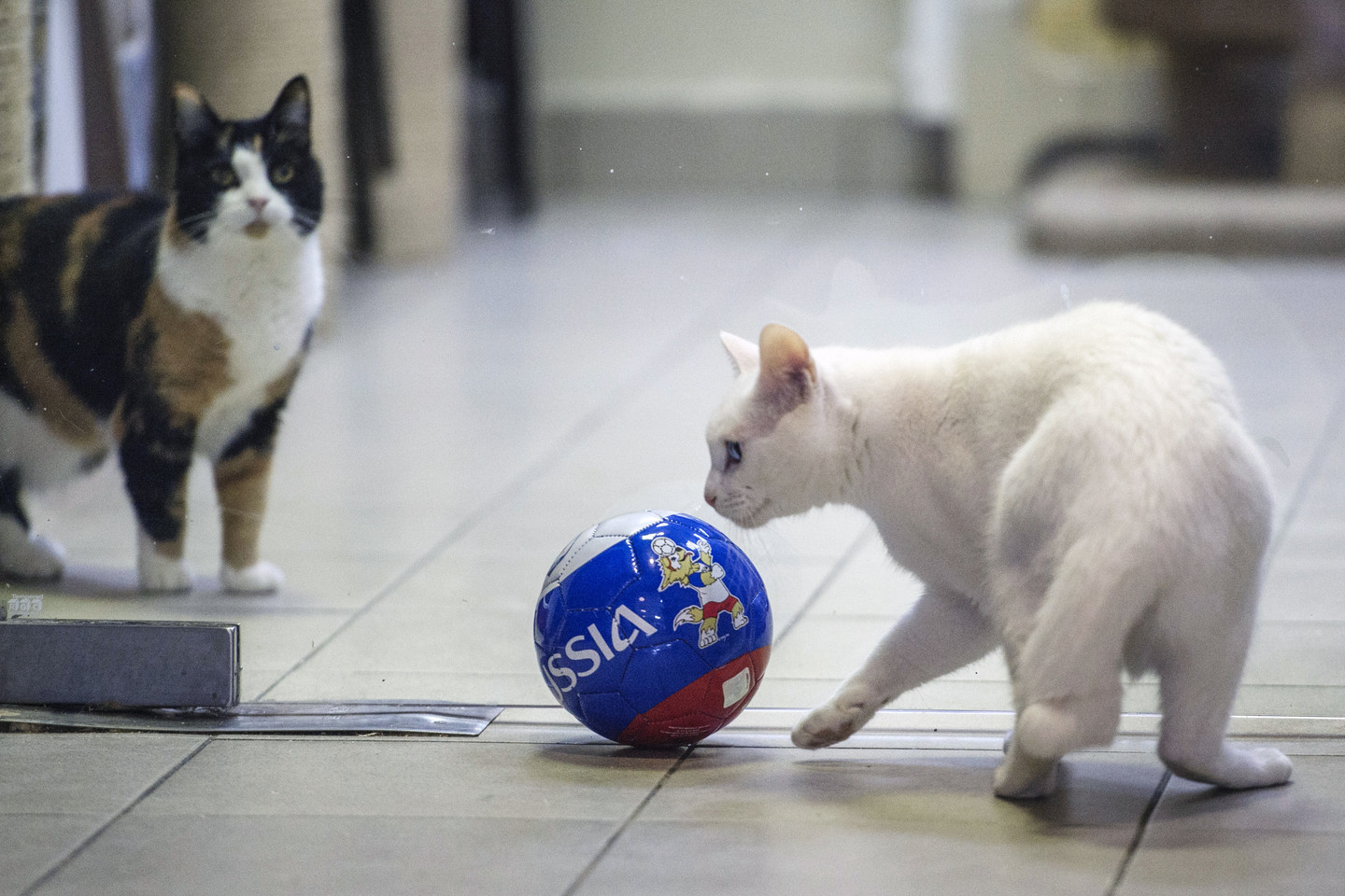 Фото: © РИА Новости / Александр Гальперин