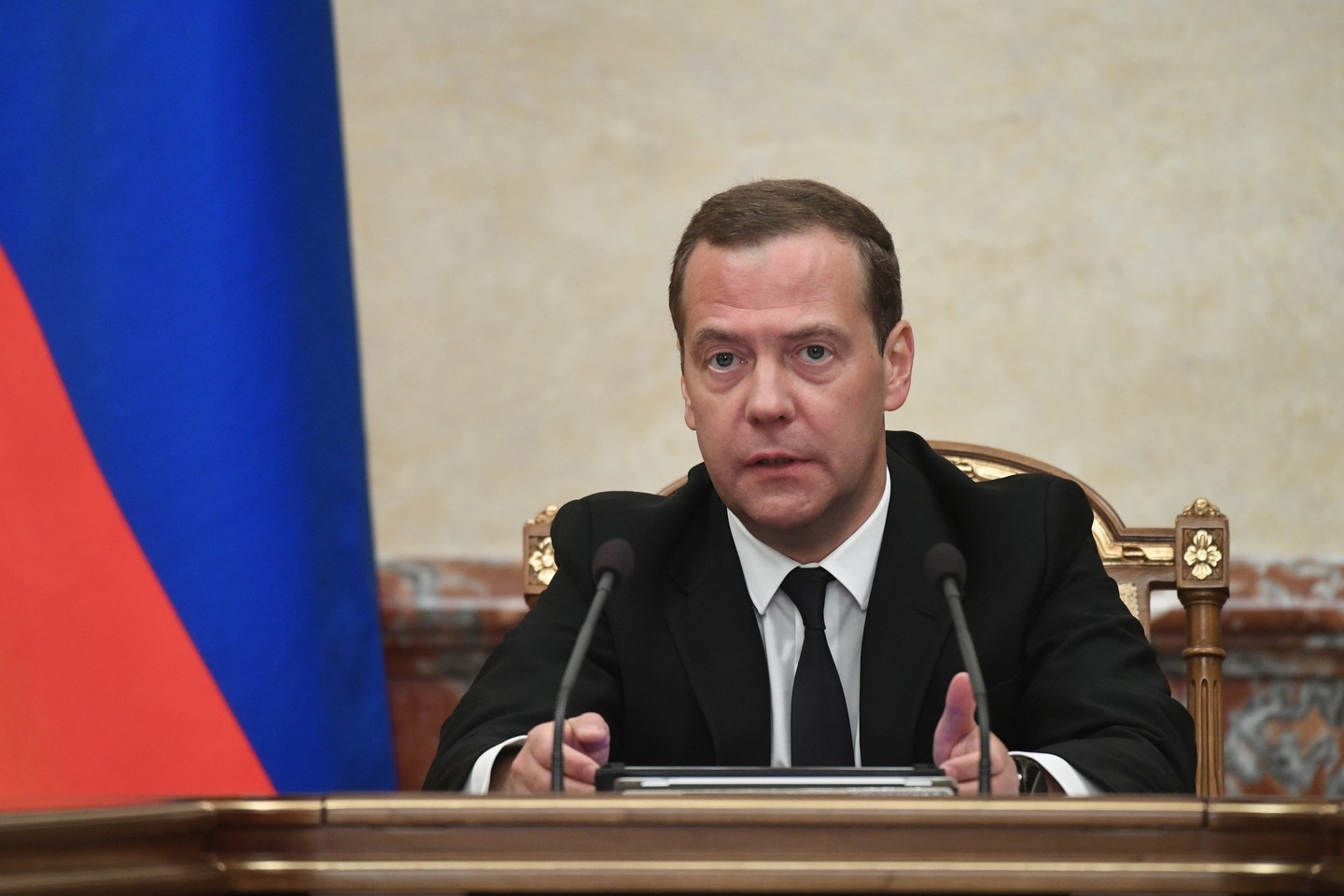 Дмитрий Медведев. Фото: &copy; РИА Новости/Григорий Сысоев
