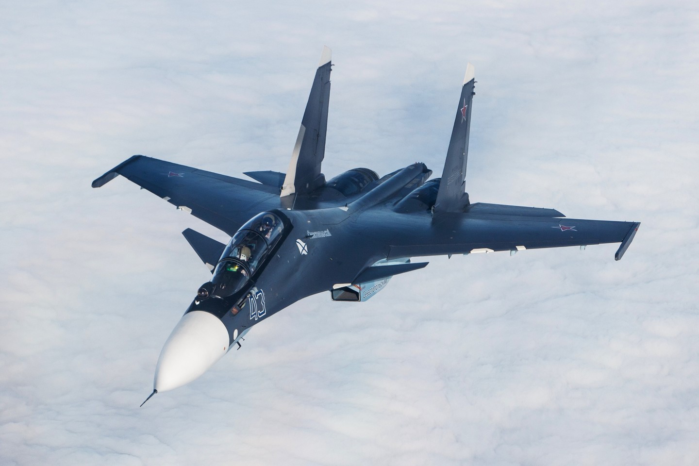 Российский истребитель Су-30 Фото: &copy;РИА Новости/Виталий Тимкив