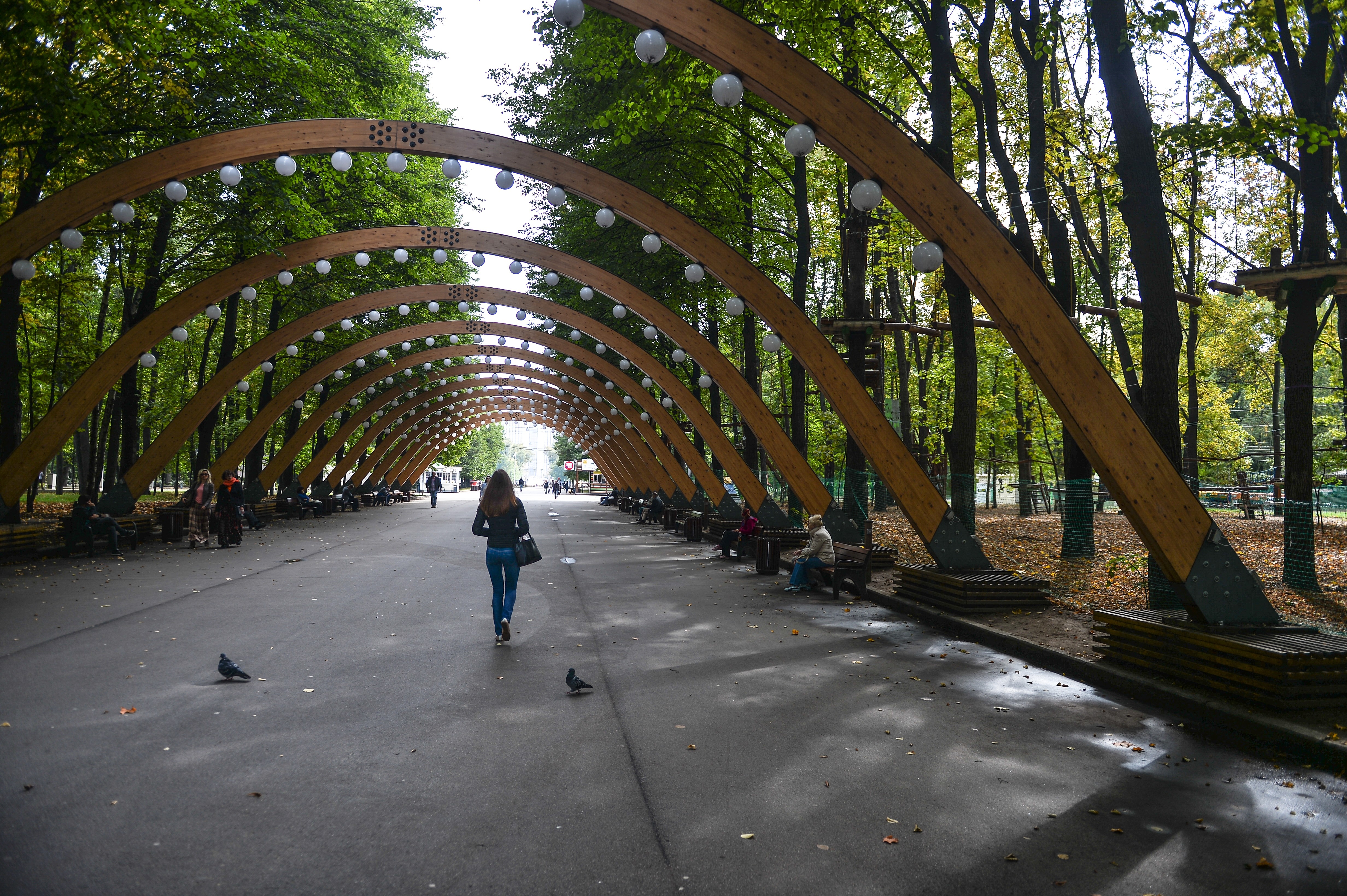 Парк "Сокольники" в Москве. Фото: &copy; РИА Новости / Владимир Астапкович