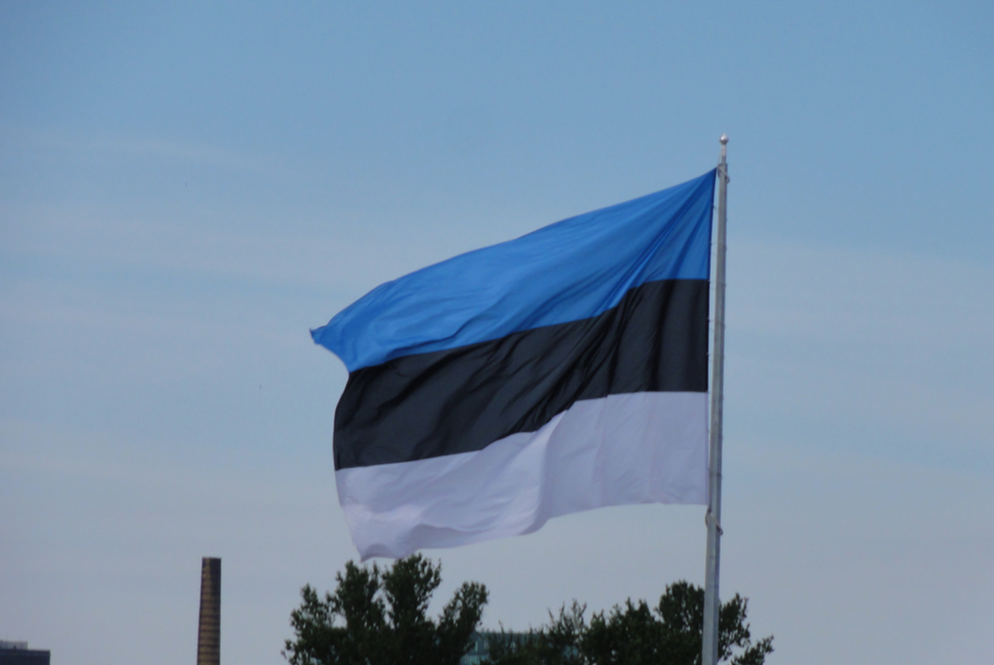 Флаг Эстонии. Фото: &copy; Flickr/Eric Lee