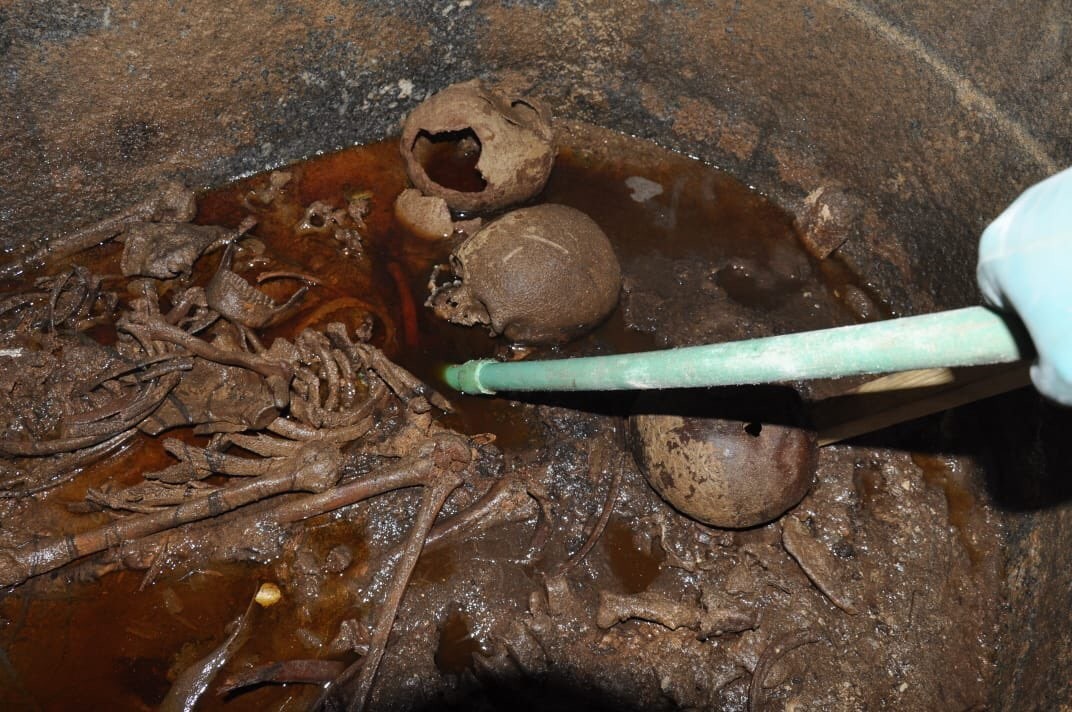 Найденные в саркофаге человеческие останки. © Фото : Ministry of Antiquities